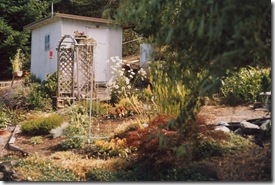 Middle Garden