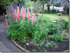 Front Garden After One Year