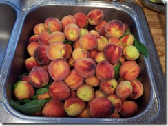 Peaches
