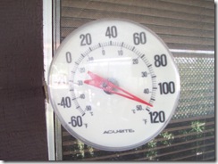 Las Vegas Heat