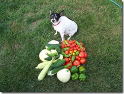 Tigger and Veggies