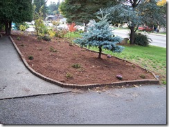 New Planting Bed
