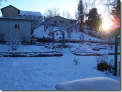 Banana Belt Snow