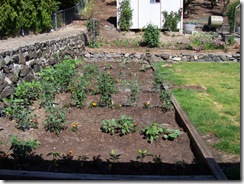Veggies