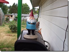 Roaming Gnome