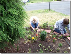 Planting Crew