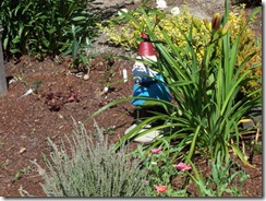 Roaming Gnome
