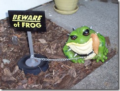 Rambo Frog