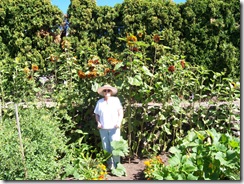 Bonnie, Sunflowers and Veggies