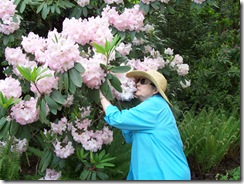 Sniffing the Flowers