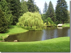 Willow Pond