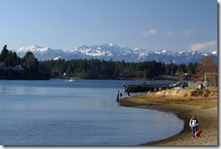 Port Washington Narrows and Olympic Mountains