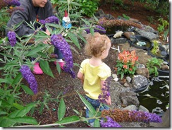 Sydney In The Garden