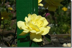 DSC00472