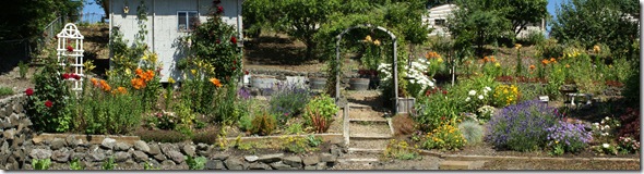 Garden Panorama 2